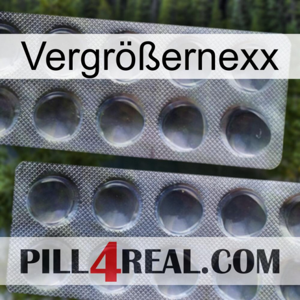 Vergrößernexx 31